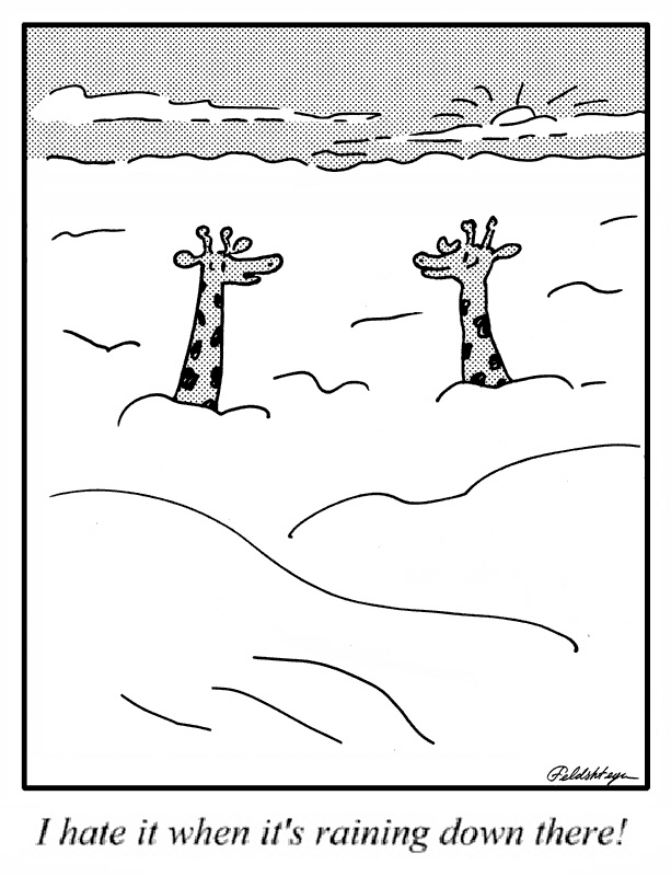 Giraphes